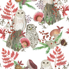 Forest seamless pattern with mushrooms, owl birds. Hand painting with watercolor - 505228807