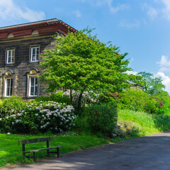 old house in the park