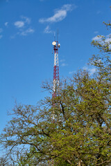 Cell tower towering above the trees, telecommunications tower, vertical frame