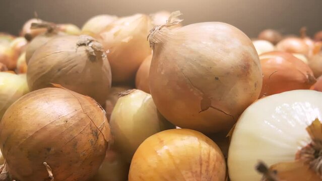 Bulb of onions lie on the shelves of a supermarket or grocery store. Close Up shot