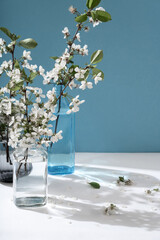 Beautiful flowers in glass vases with spring flowers on sunlit background with shadow. Beautiful spring background.