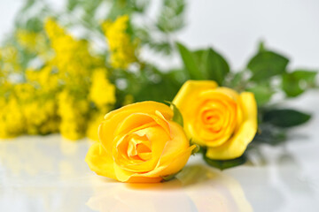yellow roses fresh flowers in a white clear blank background