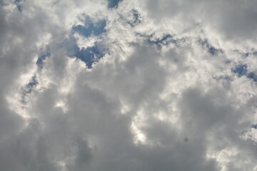 Fototapeta premium Nature