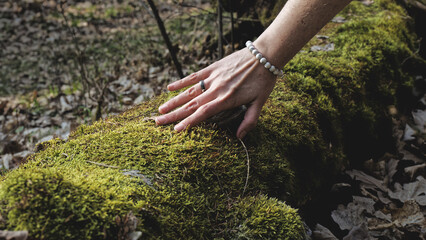 Woman hand touch fallen mossy tree trunk with polypore fungi. Howlite bracelet. Nature connection...