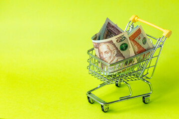 A miniature shopping cart with Guatemalan money. The concept of purchases and the strength of the...