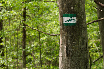 nordic walking sign on the tree bark