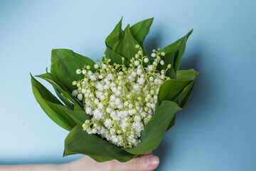 girl holding a bouquet of lilies of the valley in her hand on a blue background