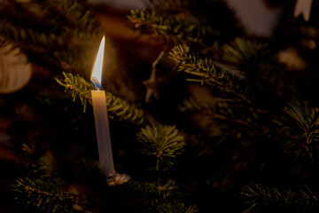 xmas decoration tree real candle swiss