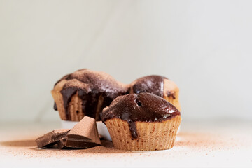 Homemade  cupcakes with chocolate and cocoa on a light background