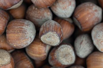 hazelnut background, texture