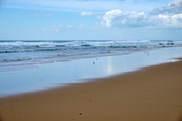 Fototapeta na wymiar Landscape of a very long sandy beach with a blue sky full of clouds. Horizontal photography.
