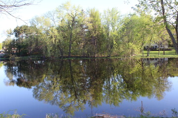 reflection of trees in the lake