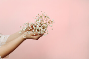 Female hands hold a gypsophila flower