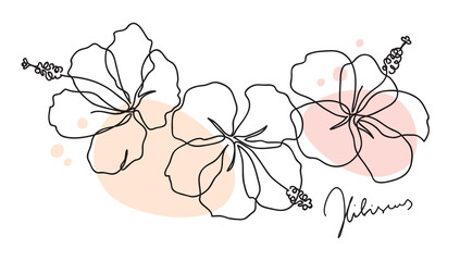 Beautiful hibiscus flower. Line art concept design. Continuous line drawing. Three blooming flowers. Vector illustration - obrazy, fototapety, plakaty