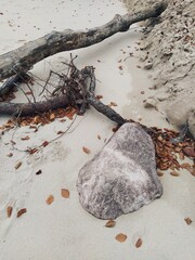 stone on the beach - 505247676