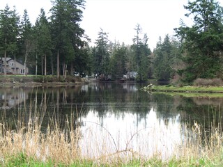 Obraz premium reflection of trees in the lake