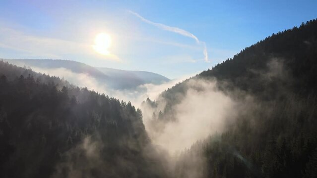 Schwarzwald am fr&uuml;hen morgen