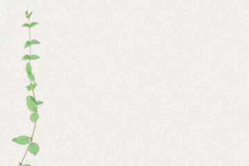 紙テクスチャと植物