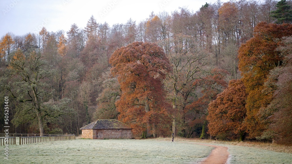 Canvas Prints frosty morning