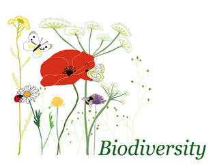 Illustration of flowers, butterflies and bees from the Scandinavian nature with statement about nature and Biodiversty