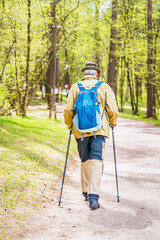 Senior man hiking in spring forest. Healthy lifestyle, activity, wellness and fitness