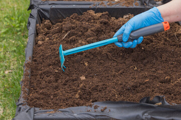Close up of woman's hands in gloves cultivate ground with garden rake for planting vegetables on pallet collar raised bed garden. Sweden