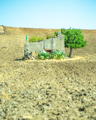old house in Apulia land