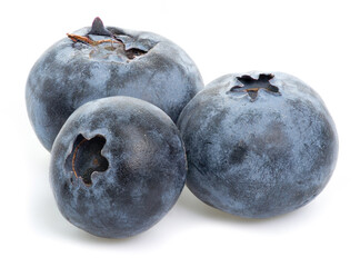 Macro of juicy fresh three blueberries on isolated white background