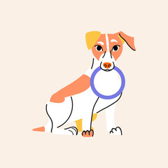 Fototapeta premium Jack Russell Terrier vector dog. Flat style illustration. Pet colorful character