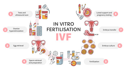 In Vitro fertilization IVF vector circle infographic, infertility treatment scheme. Ovarian hyperstimulation, artificial insemination, embryo culture, luteal support. Medical procedure for pregnancy