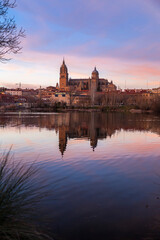 Salamanca Skyline view with the Cathedral, Spain