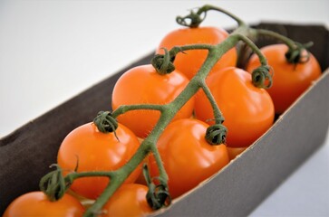 orange cherry tomatoes on a branch on a substrate, minimalism