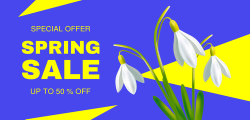 Spring Sale Discount Banner Template. Beautiful background with snowdrop flowers. Season banner  
