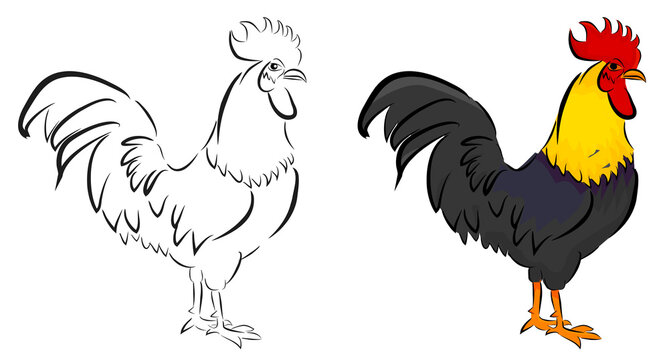 Simple Vector Set 2 Sketch Rooster, Isolated on White