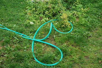 A green garden hose lies on the green grass. Light green rubber garden hose it lies on the green...