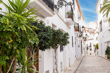 Beautiful narrow street in Altea old town with white houses and decor and cobblestone road with flower pots, Spain