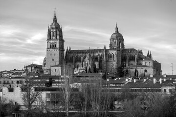 The New Cathedral of Salamanca, Spain