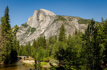 Fototapeta na wymiar Half Dome in Yosemite Nation Park with trees in the foreground
