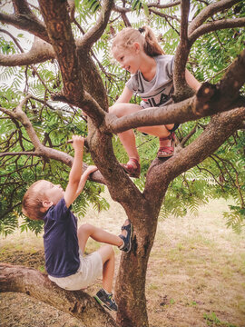 two children climbed a tree. boy and girl playing outdoors