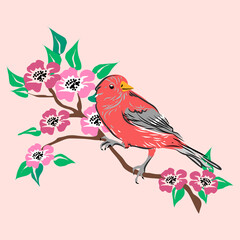 Cute bird with flowers hand drawing vector illustration in boho style. Flat design branch with flowers and bird. Design for wrapping paper, fabric, t-shirt design, card, invitation 