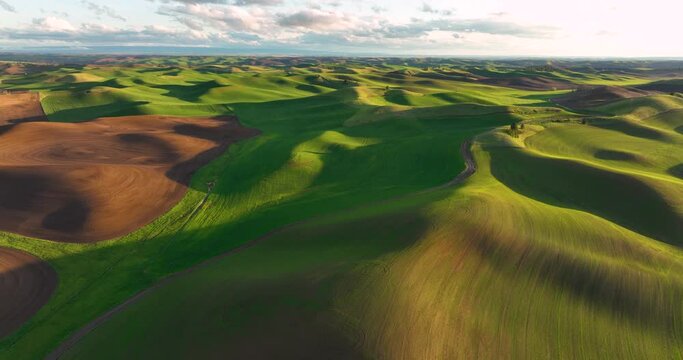 Aerial View Moving over the Rolling Hills and Farmland of the Palouse Region in Washington State