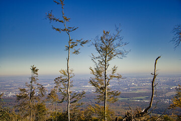 Fototapeta premium Blick auf den Horizont 