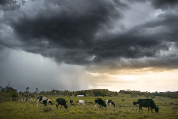 Storm over the ranch, storm clouds countryside