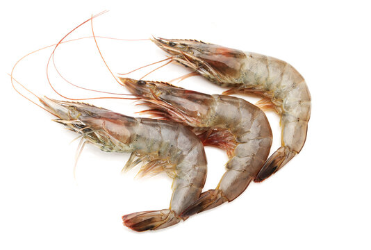 raw shrimp isolated on white background