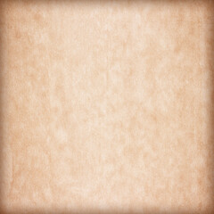Old Paper texture. vintage paper background or texture; brown paper texture