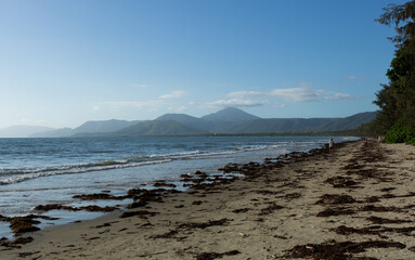 A tropical beach of North Queensland Australia, Port Douglas with mountains off in the distance , blue waters and clear sky a popular tourist destination 