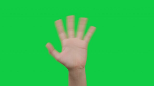 Body Language, women hand waving saying greetings hello or goodbye isolated on green screen background, Green screen Chroma key