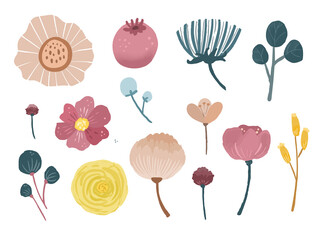 watercolor spring flower element. Cute floral botanical element clip art design vector