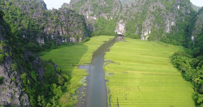 River of water in the ripe rice season in Tam Coc Ninh Binh - D-log File