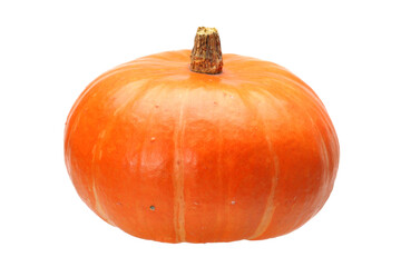 pumpkin isolated on white background